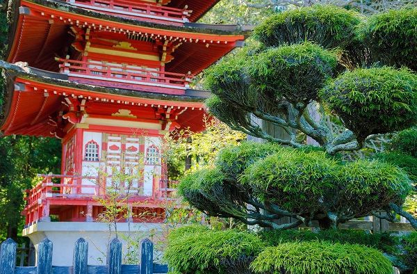 Miller, Anna 아티스트의 Pagoda-Japanese Tea Garden-Golden Gate Park-San Francisco-California-USA작품입니다.
